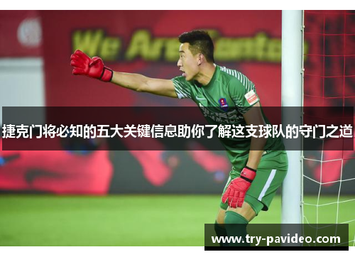 捷克门将必知的五大关键信息助你了解这支球队的守门之道