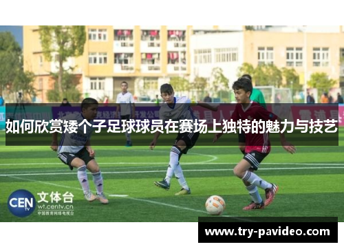 如何欣赏矮个子足球球员在赛场上独特的魅力与技艺 如何欣赏矮个子足球球员在赛场上独特的魅力与技艺