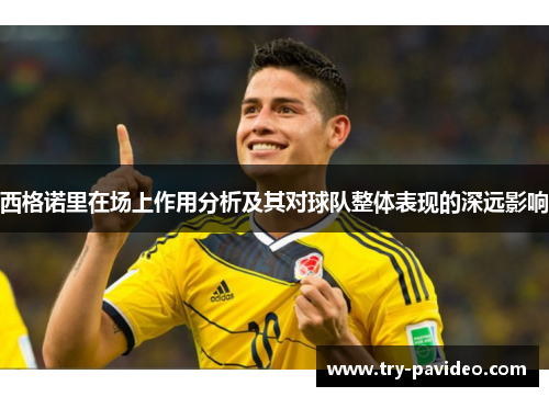 西格诺里在场上作用分析及其对球队整体表现的深远影响 西格诺里在场上作用分析及其对球队整体表现的深远影响
