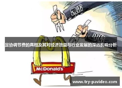 足协调节费的真相及其对经济效益与行业发展的深远影响分析 足协调节费的真相及其对经济效益与行业发展的深远影响分析